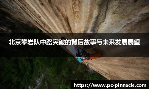 平博pinnacle官网
